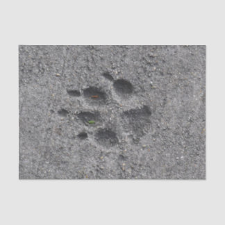 Pet Paws in Cement – Always There Tissue Paper