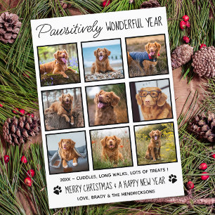 Pet Pawsitively Wonderful Pet Dog Photo Collage Holiday Card