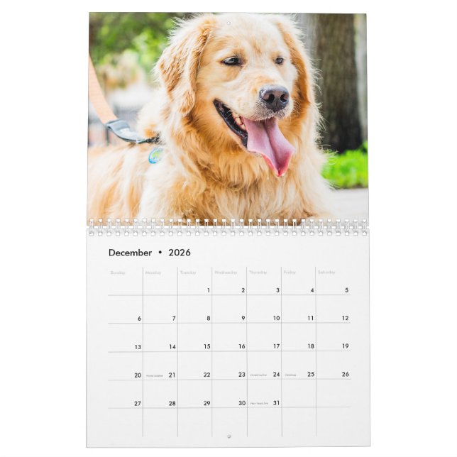 Pet Photo 2025 Calender Calendar (Dec 2026)