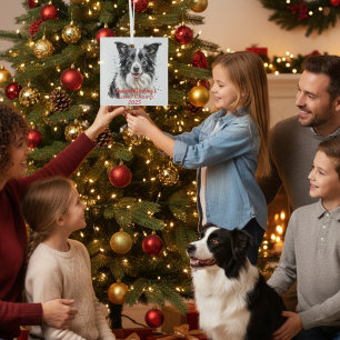 Pet Photo Border Collie Personalise Glass Tree Decoration