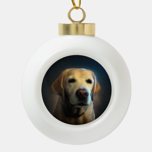 Pet photo ceramic ball christmas ornament (Front)