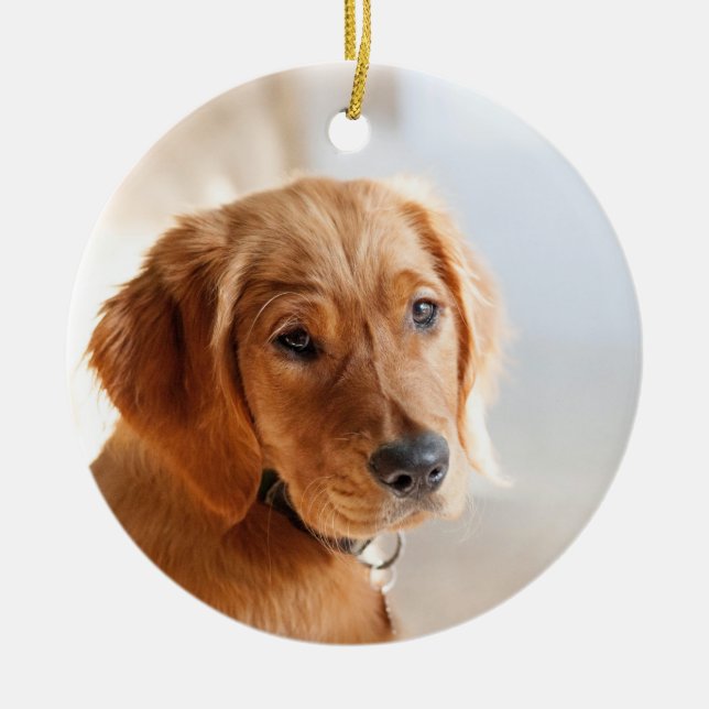 Pet Photo Ceramic Tree Decoration (Front)