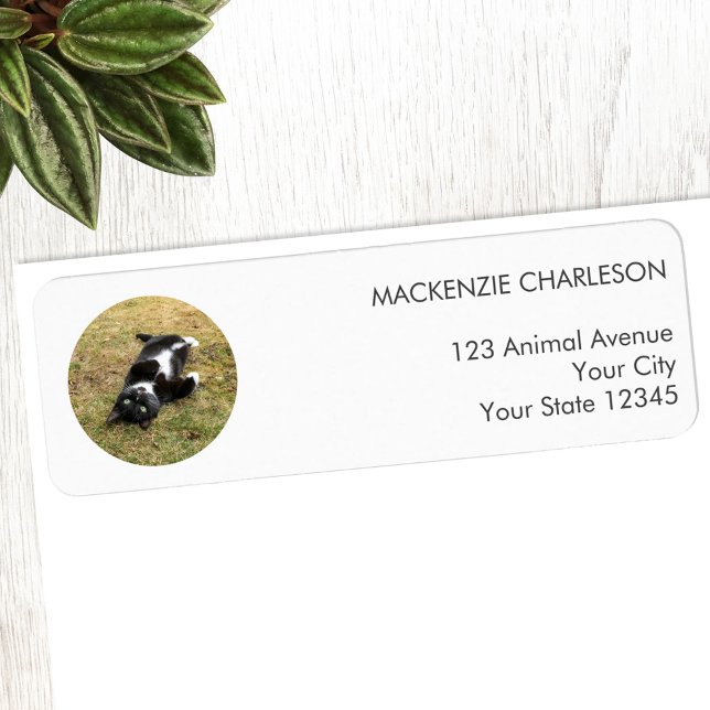 Pet Photo Circle Return Address Label (Personalized pet photo circle frame custom return address label)