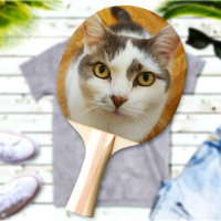Pet Photo Custom Image