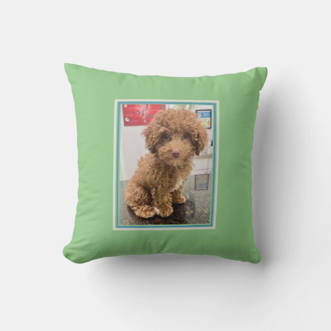 Pet Photo Customised Dog Pillow (Front)