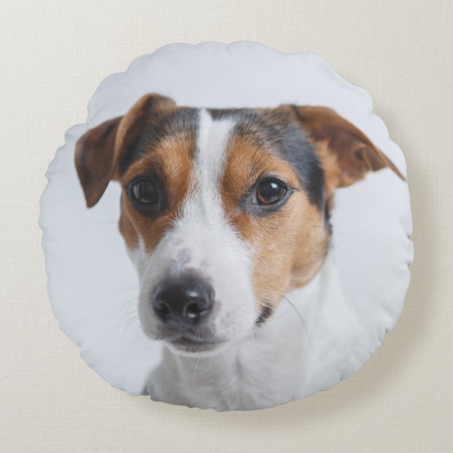 Pet photo dog add your own custom  personalised round cushion (Front)