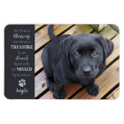 Pet Photo - Dog Photo - Cat Photo - Pet Memorial