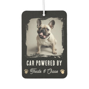 Pet Photo Funny Selfie Treats and Chaos Car Air Freshener