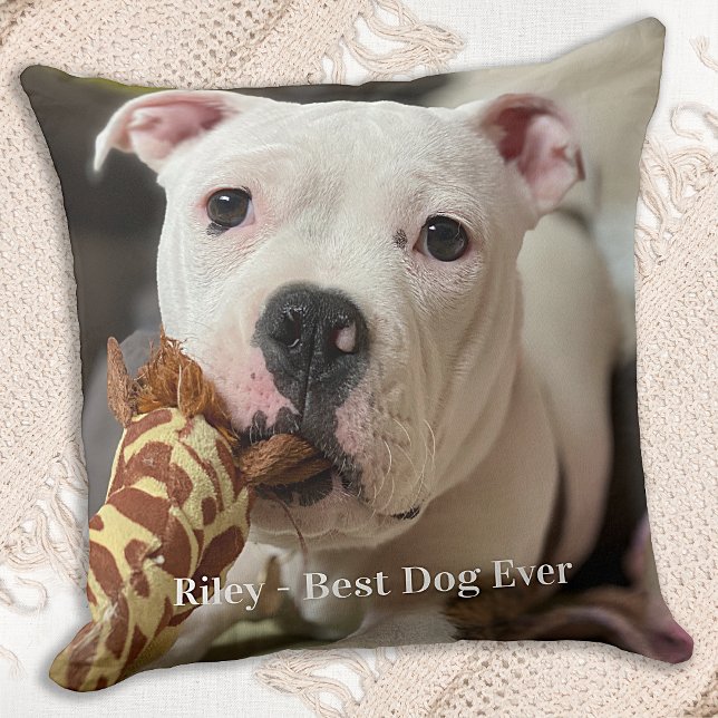 Pet Photo Gifts Dog Lover Pet Memorial Cushion (Creator Uploaded)