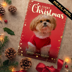 Pet Photo Golden Star Frame 