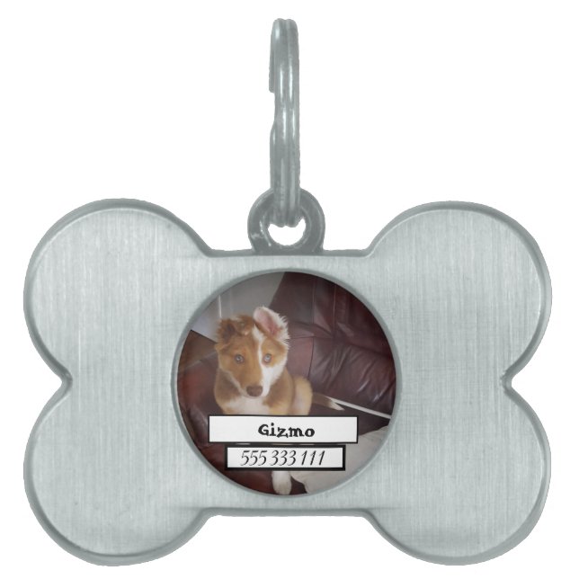Pet Photo ID Tag (Front)