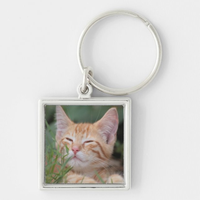 Pet Photo Key chain (Front)