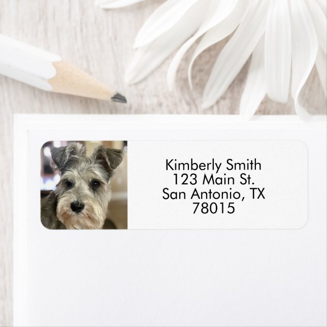 Pet Photo Label (Insitu)