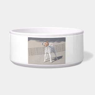 PET Photo ✨ Lovely Custom