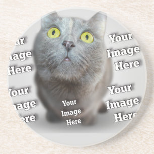 PET Photo ✨ Lovely Custom Coaster