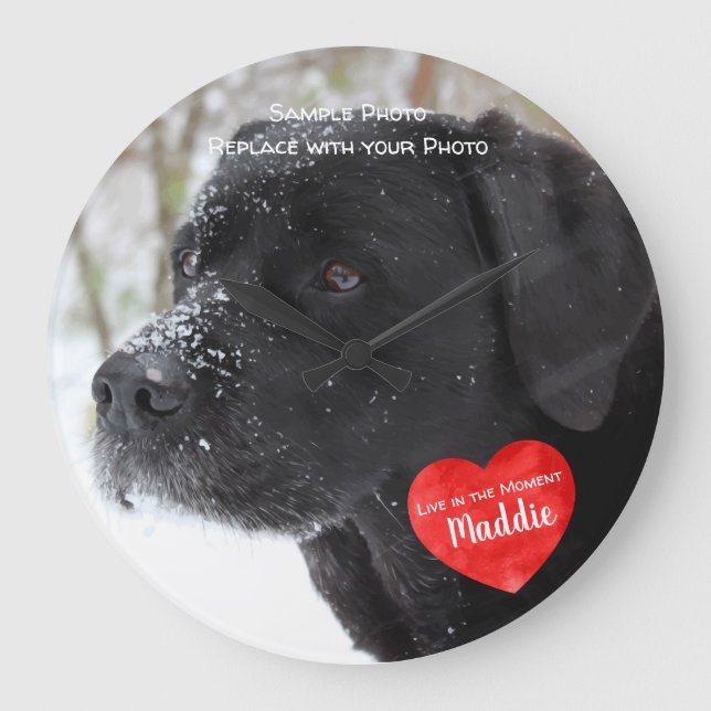 Pet Photo Memorial - Add Your Photo - Dog Photo Large Clock (Front)