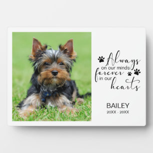 Pet Photo Memorial Always on our Minds Plaque