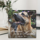 Pet Photo Memorial Gift | Forever in our Hearts