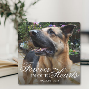 Pet Photo Memorial Gift   Forever in our Hearts Plaque
