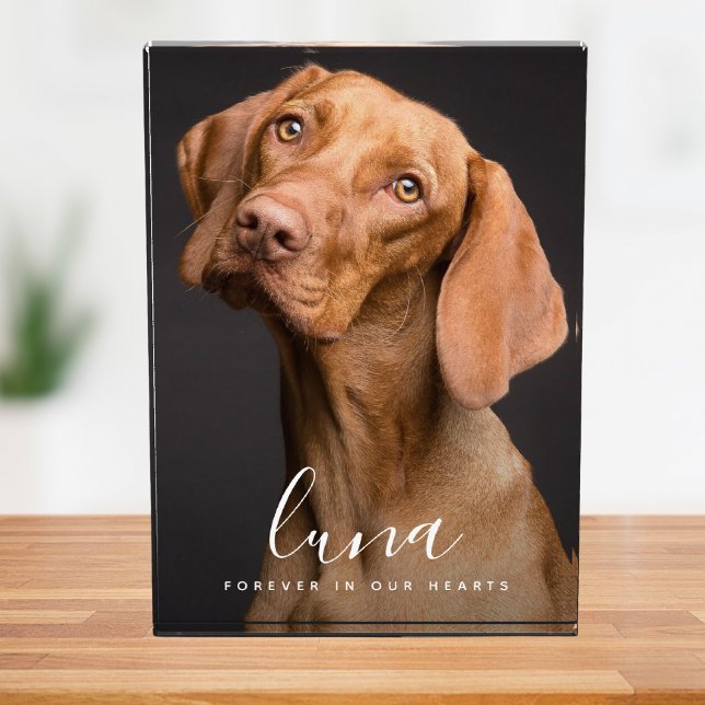 Pet Photo Memorial Sympathy Tribute (Pet Memorial Photo Block)