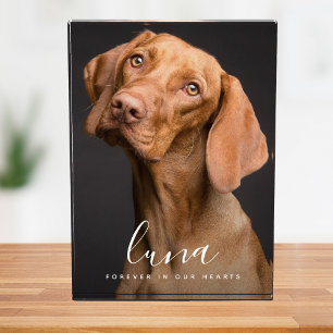 Pet Photo Memorial Sympathy Tribute Block