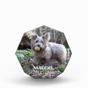 Pet Photo Memorial with Name and Date