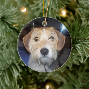 PET PHOTO Memorial With Typography Ornament