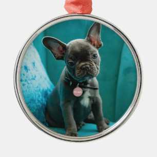 Pet Photo  Metal Tree Decoration