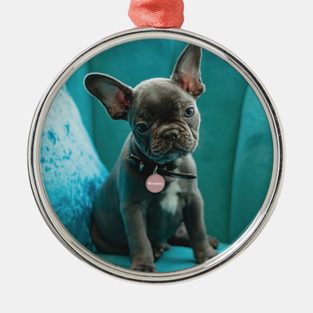 Pet Photo  Metal Tree Decoration (Front)