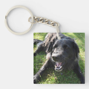 Pet Photo Monogram Name Initial Blue Green Key Ring