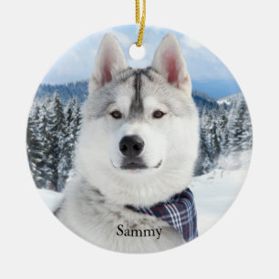 Pet Photo Name Ceramic Tree Decoration