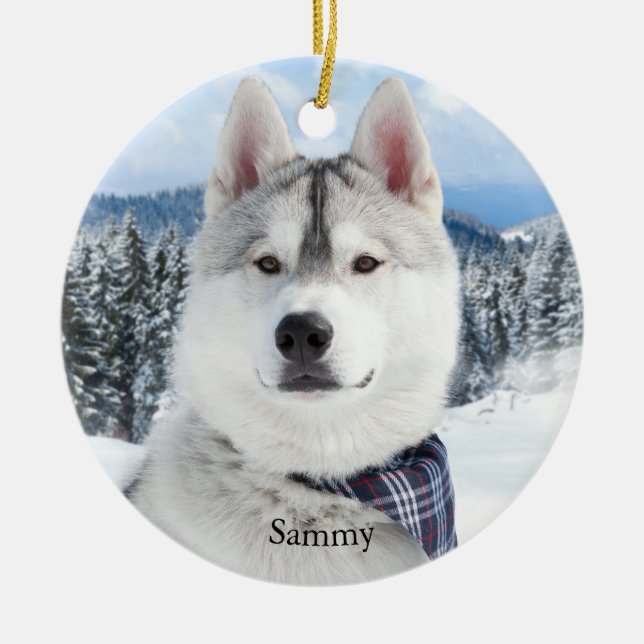 Pet Photo Name  Ceramic Tree Decoration (Front)