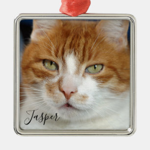 Pet Photo Name Christmas Metal Tree Decoration
