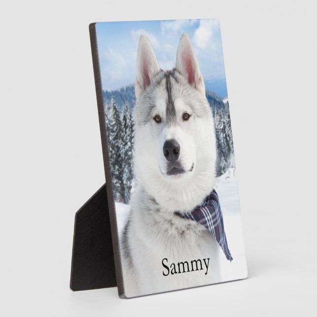 Pet Photo Name Tabletop Plaque with Easel (Side)