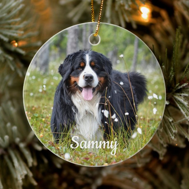 Pet Photo Ornament - Pet Memorial - Dog Photo (Creator Uploaded)
