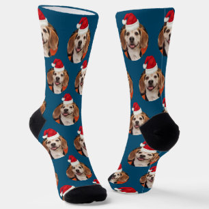 Pet Photo Pattern Blue Red Santa Hats Christmas Socks