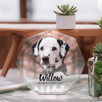 Pet Photo Personalised