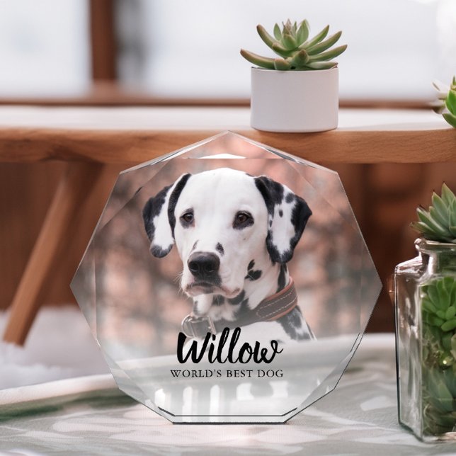 Pet Photo Personalised (Creator Uploaded)