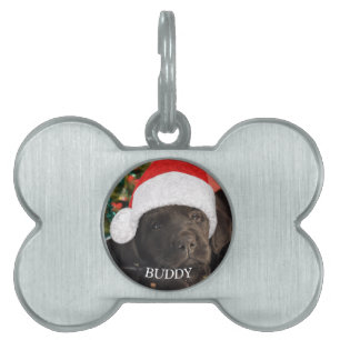 Pet Photo Personalized Dog Lover  ID Tag