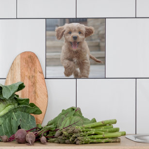 Pet Photo   Picture Upload Cute Adorable Dog Tile