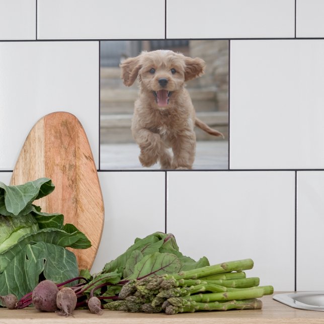 Pet Photo | Picture Upload Cute Adorable Dog Tile