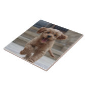 Pet Photo | Picture Upload Cute Adorable Dog Tile (Side)