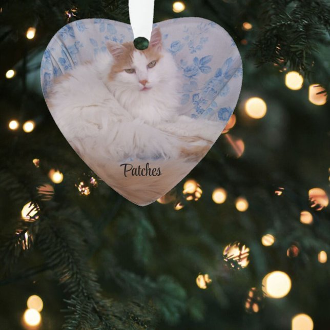 Pet Photo, Quote, Blue Pawprint, Name and Years Ornament (Creator Uploaded)