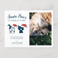 Pet Photo | Santa Paws | Cat Dog Christmas