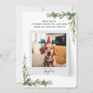 Pet Photo Script Funny Dog Christmas Holiday Card