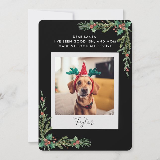 Pet Photo Script Funny Dog Christmas Holiday Card (Front)
