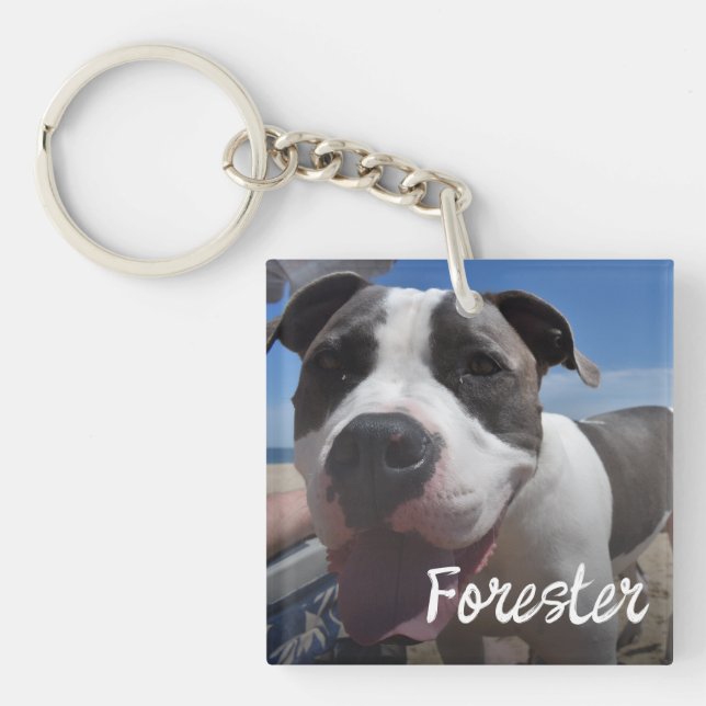 Pet photo simple photo collage key ring (Front)
