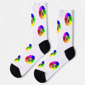 Pet Photo Socks Template