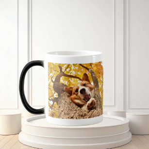 Pet Photo Surprise Personalised  Magic Mug