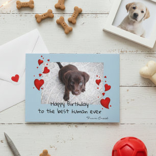 Pet Photo Template Happy Birthday Customise Card